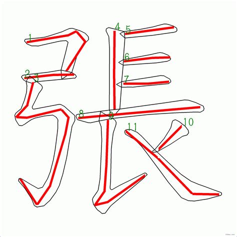 張筆畫|张字笔画、笔顺、笔划